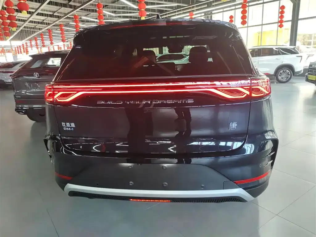 BYD Tang New Energy 2025 из CN, фото 5