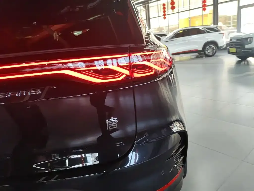 BYD Tang New Energy 2025 из CN, фото 2