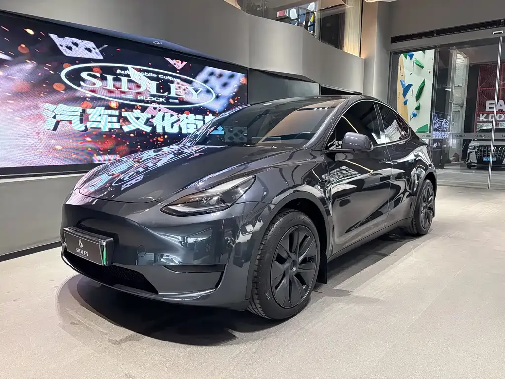 Tesla Model Y — фото 1