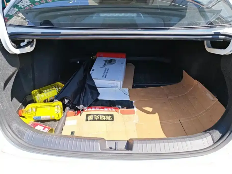 Volkswagen Sagitar 2024 из CN, фото 4