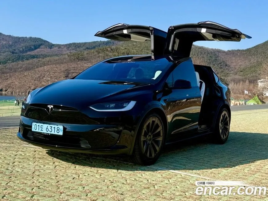 Tesla Model X 2024 из KR, фото 1