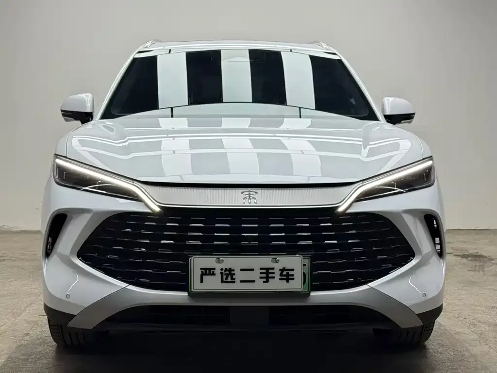 BYD L DM-i — фото 2