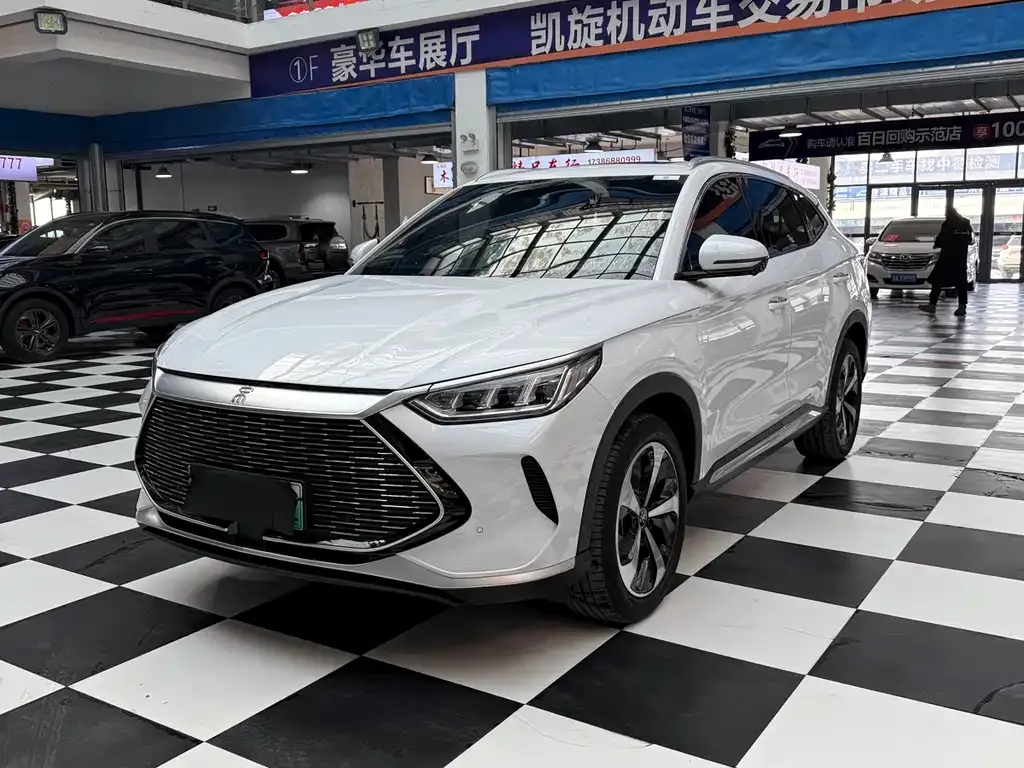 BYD PLUS New Energy 2022 из CN, фото 1