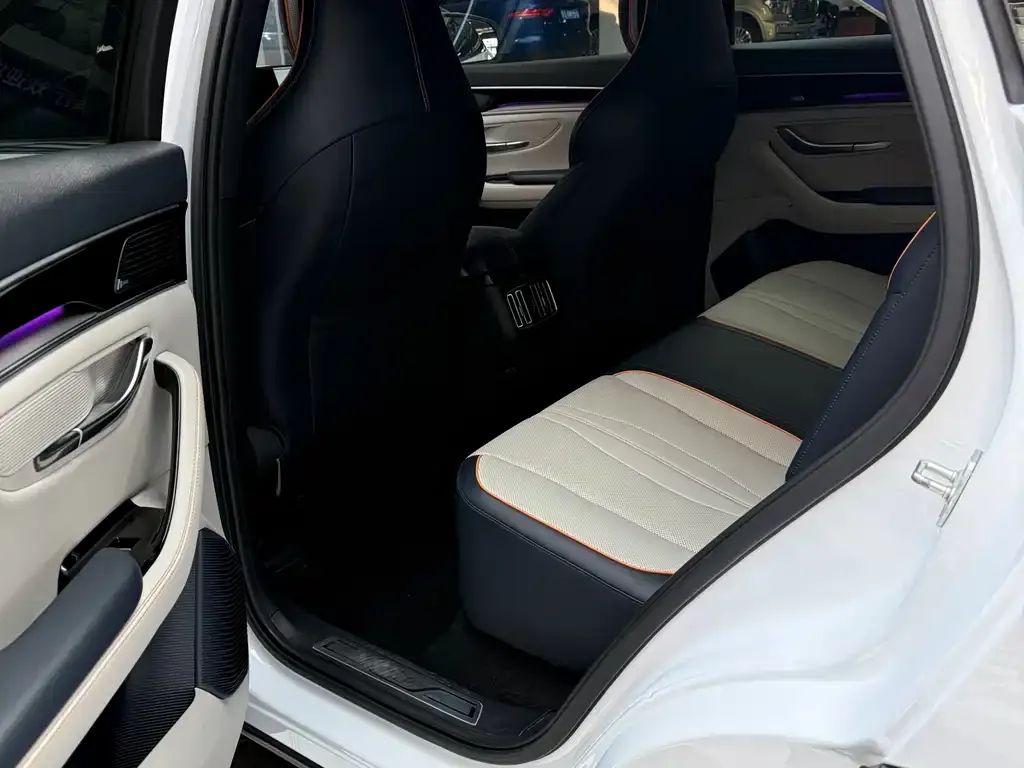 BYD PLUS New Energy 2022 из CN, фото 8