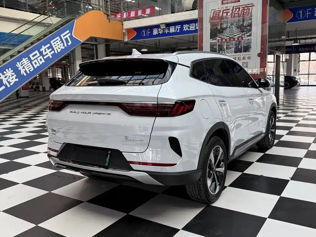 BYD PLUS New Energy 2022 из CN, фото 5