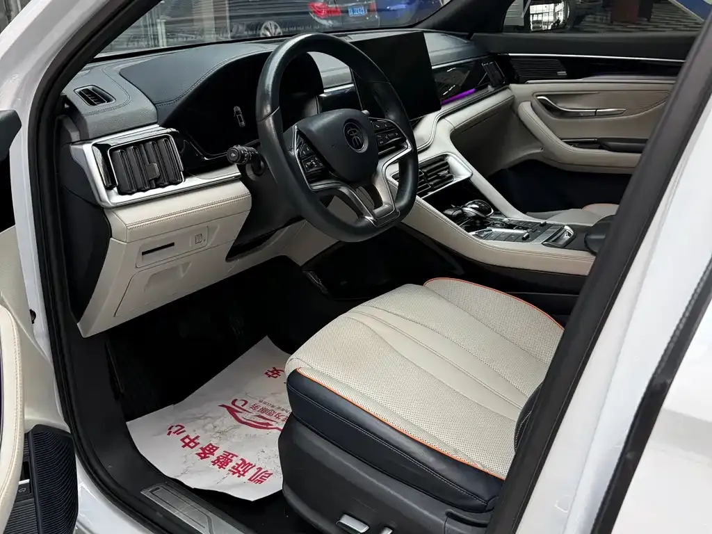 BYD PLUS New Energy 2022 из CN, фото 10