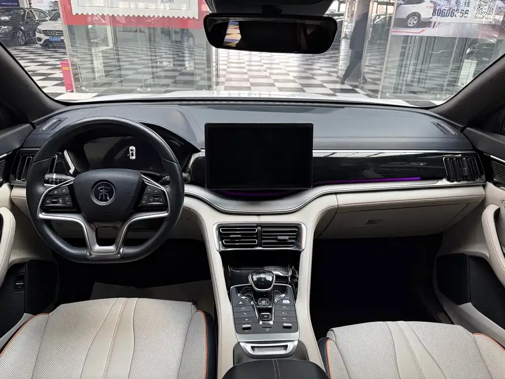 BYD PLUS New Energy 2022 из CN, фото 7