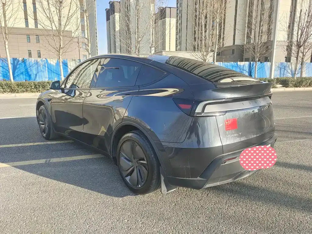 Tesla Model Y 2025 из CN, фото 4