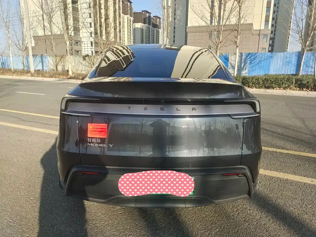 Tesla Model Y 2025 из CN, фото 9