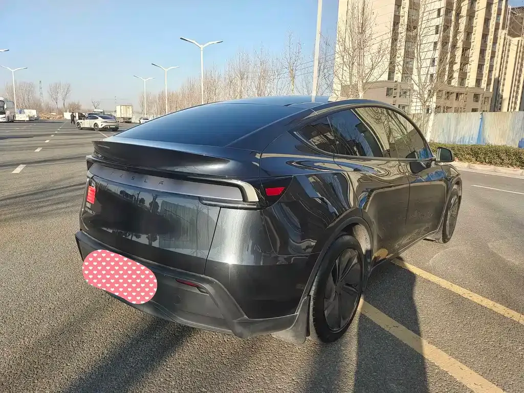 Tesla Model Y 2025 из CN, фото 6
