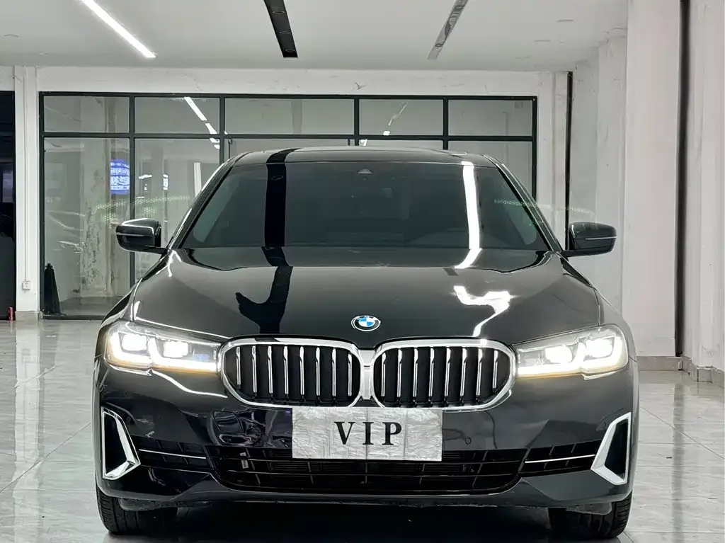 BMW 5 Series 2022 из CN, фото 4