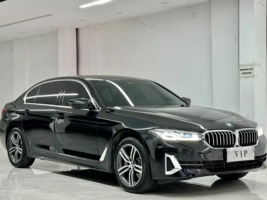 BMW 5 Series 2022 из CN, фото 5