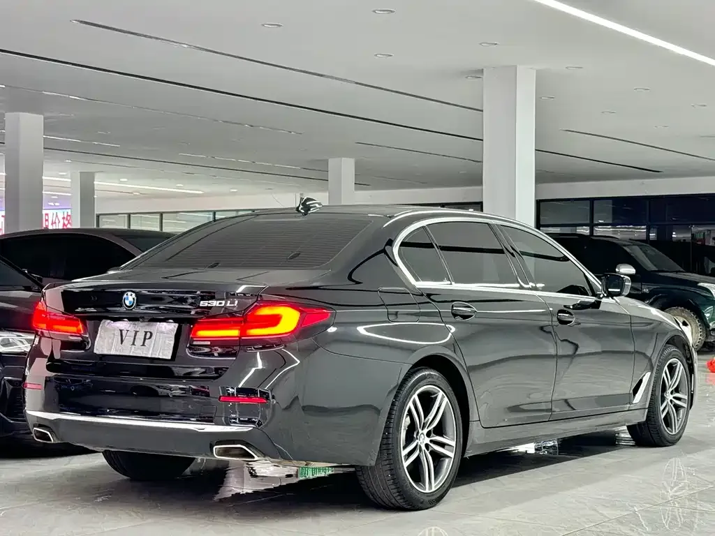 BMW 5 Series 2022 из CN, фото 3