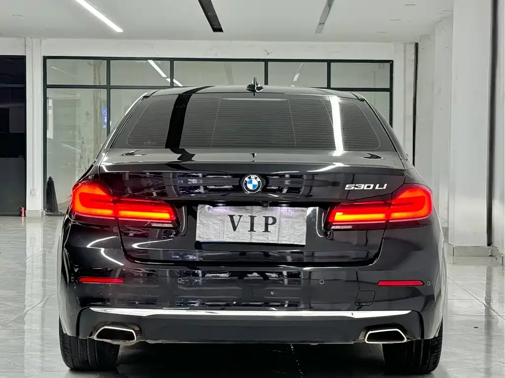 BMW 5 Series 2022 из CN, фото 9