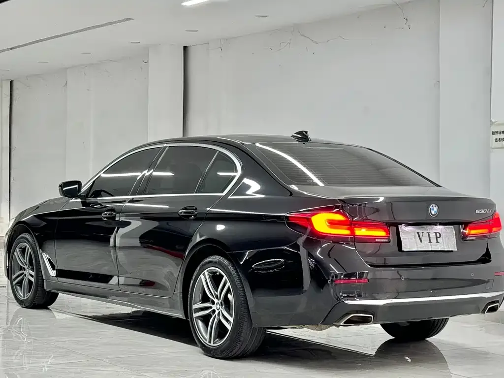 BMW 5 Series 2022 из CN, фото 7