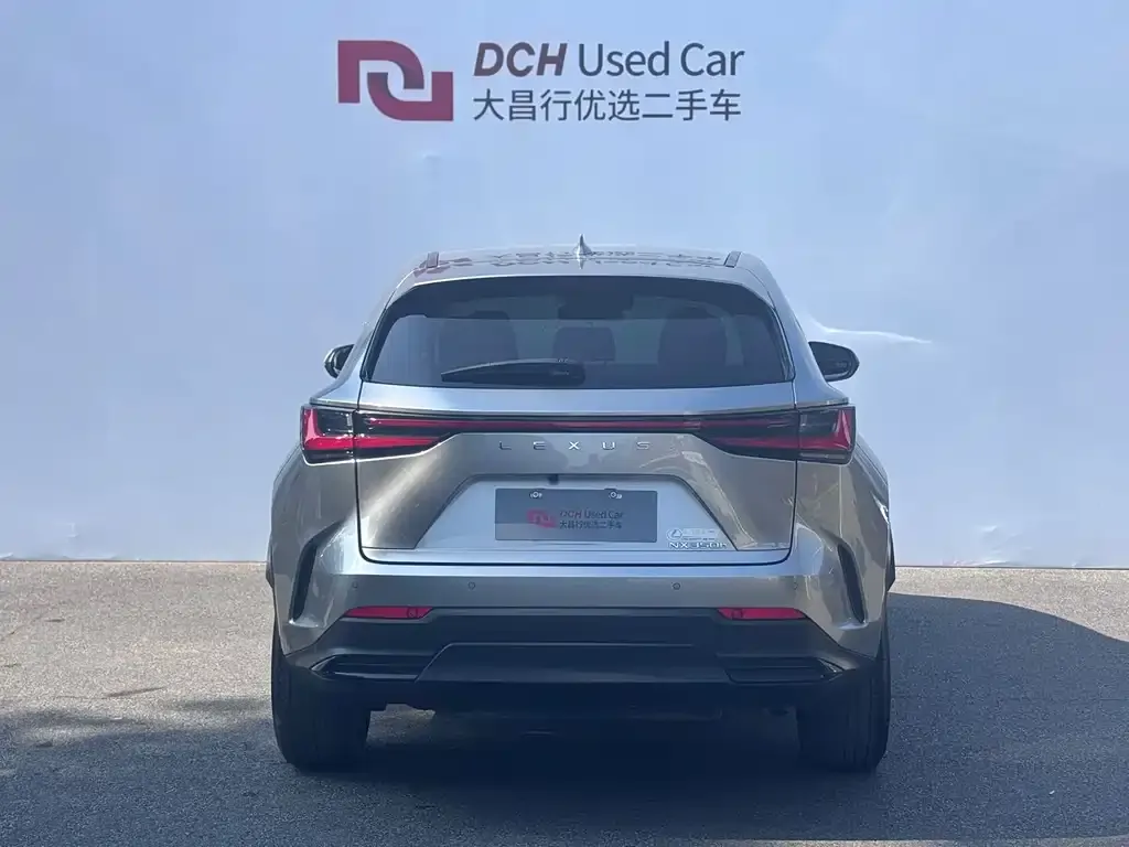 Lexus NX 2022 из CN, фото 6