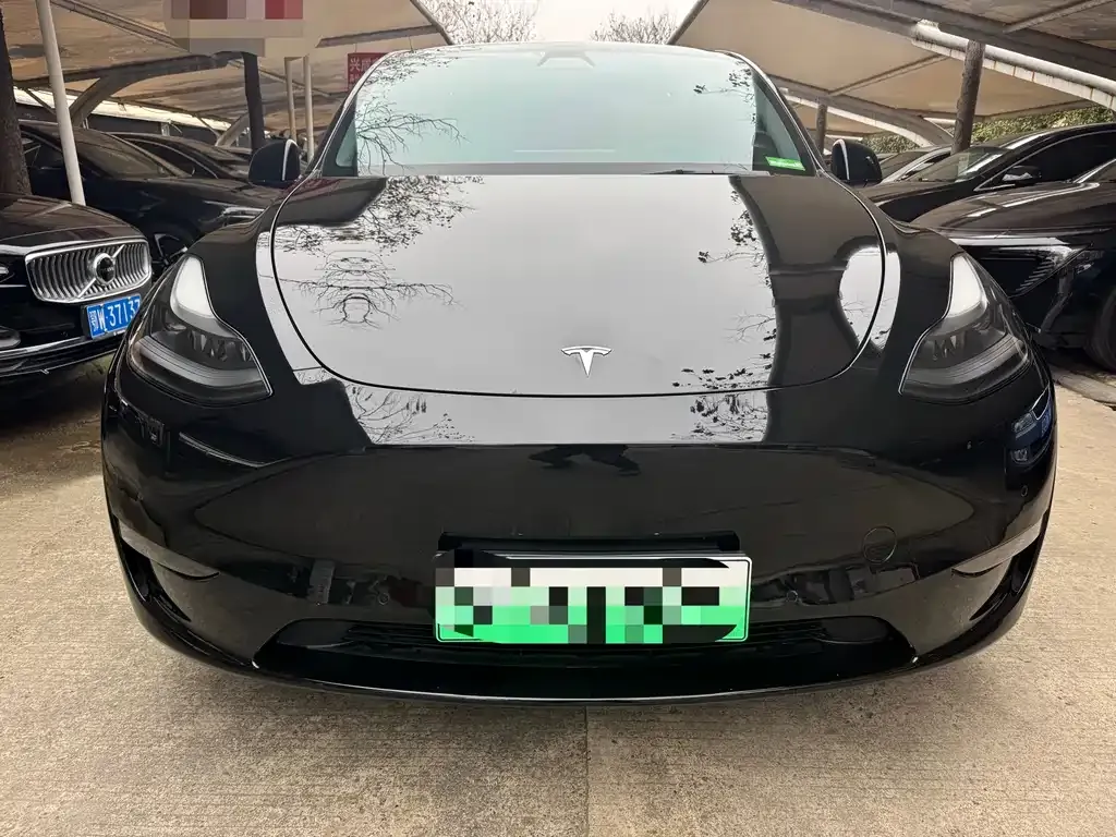 Tesla Model Y 2021 из CN, фото 2