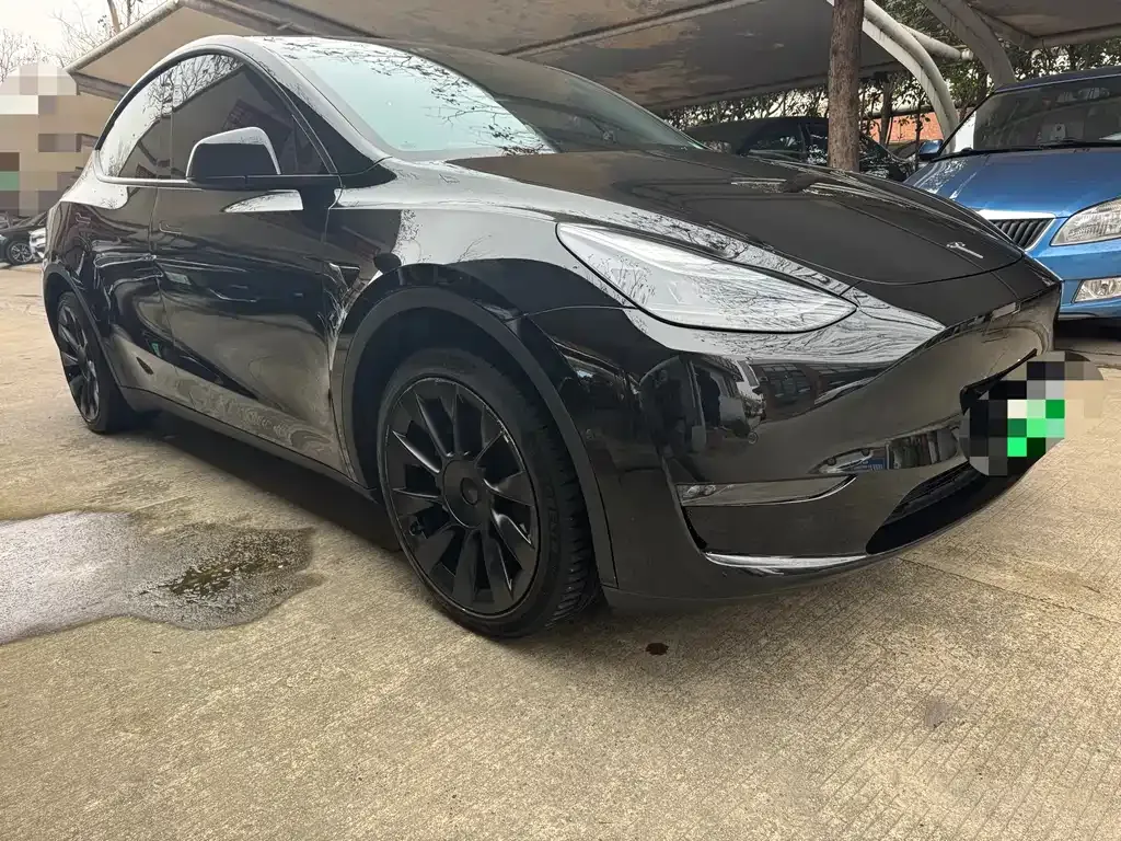 Tesla Model Y 2021 из CN, фото 9