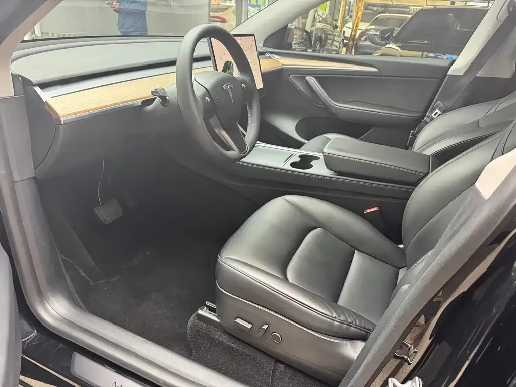 Tesla Model Y 2021 из CN, фото 4