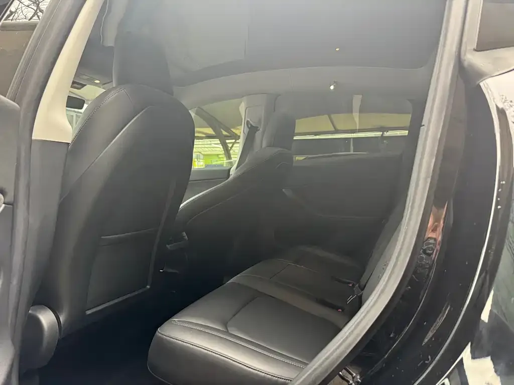 Tesla Model Y 2021 из CN, фото 3