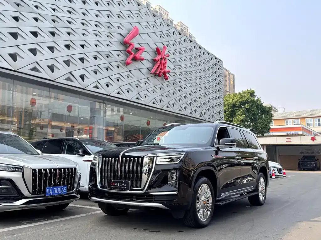 Hongqi Golden Sunflower Guoyao 2024 из CN, фото 1