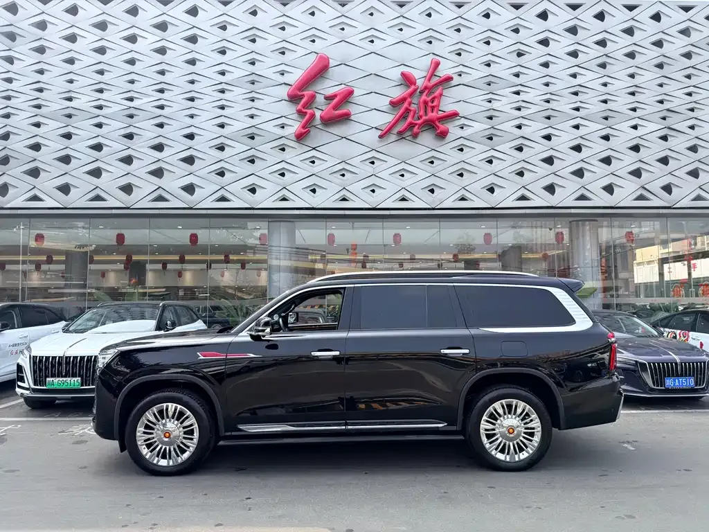 Hongqi Golden Sunflower Guoyao 2024 из CN, фото 7