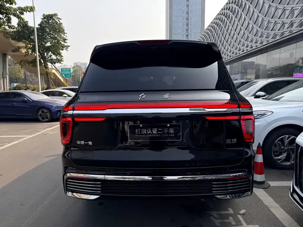 Hongqi Golden Sunflower Guoyao 2024 из CN, фото 6