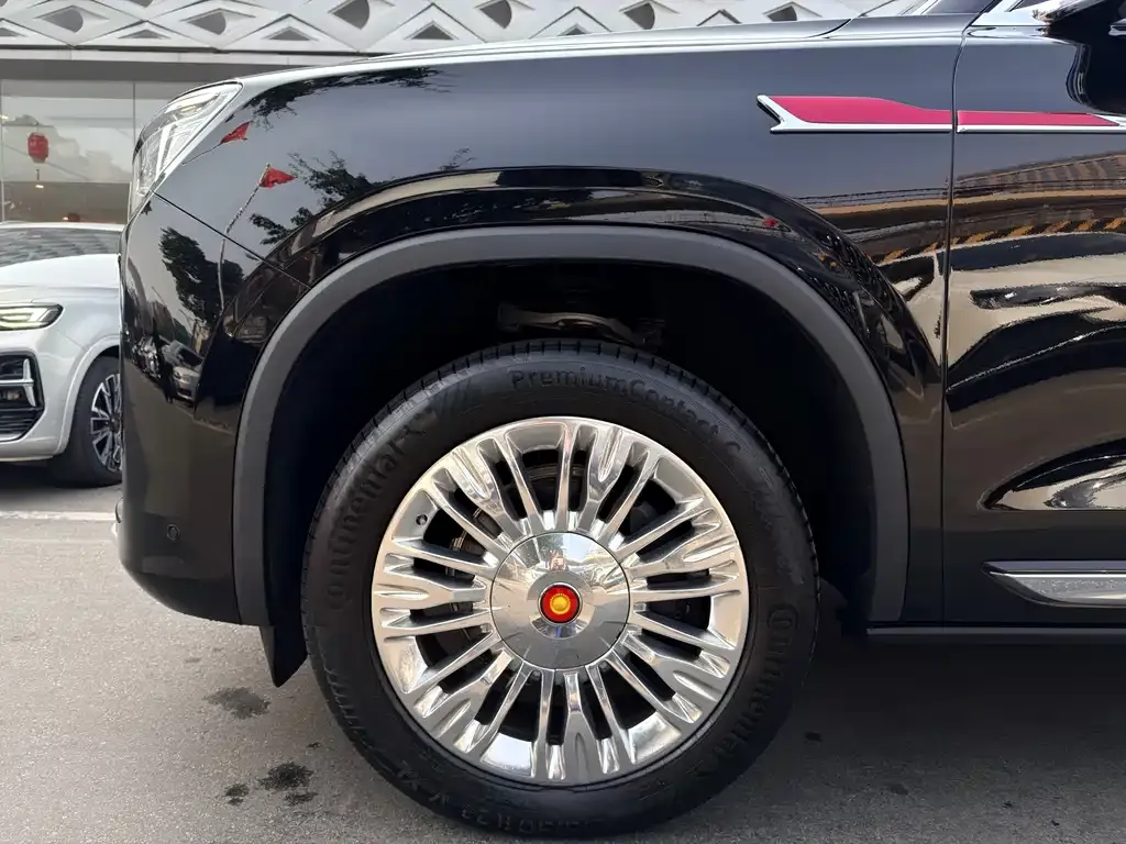Hongqi Golden Sunflower Guoyao 2024 из CN, фото 10