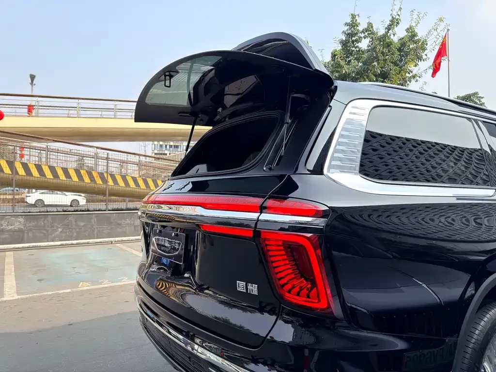 Hongqi Golden Sunflower Guoyao 2024 из CN, фото 2