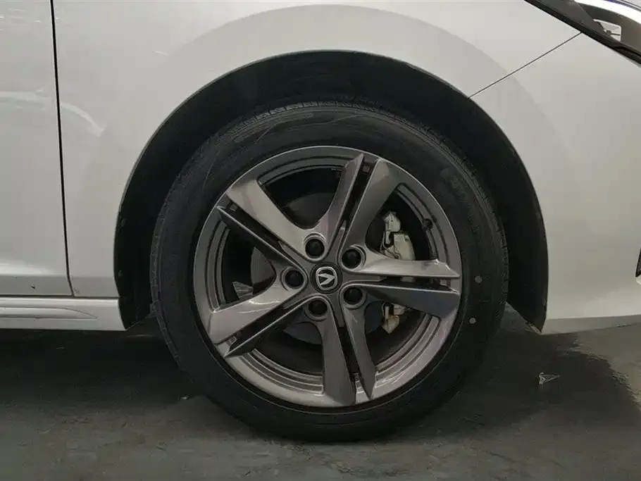 Changan Ruicheng PLUS 2023 из CN, фото 7