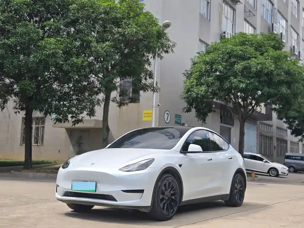 Tesla Model Y — фото 1