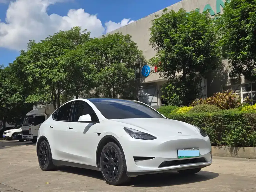 Tesla Model Y — фото 9