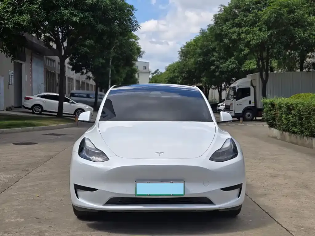 Tesla Model Y — фото 5