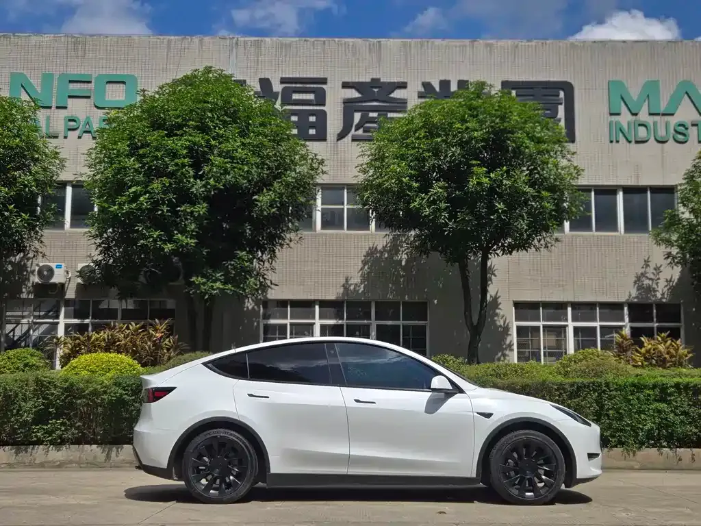 Tesla Model Y — фото 10