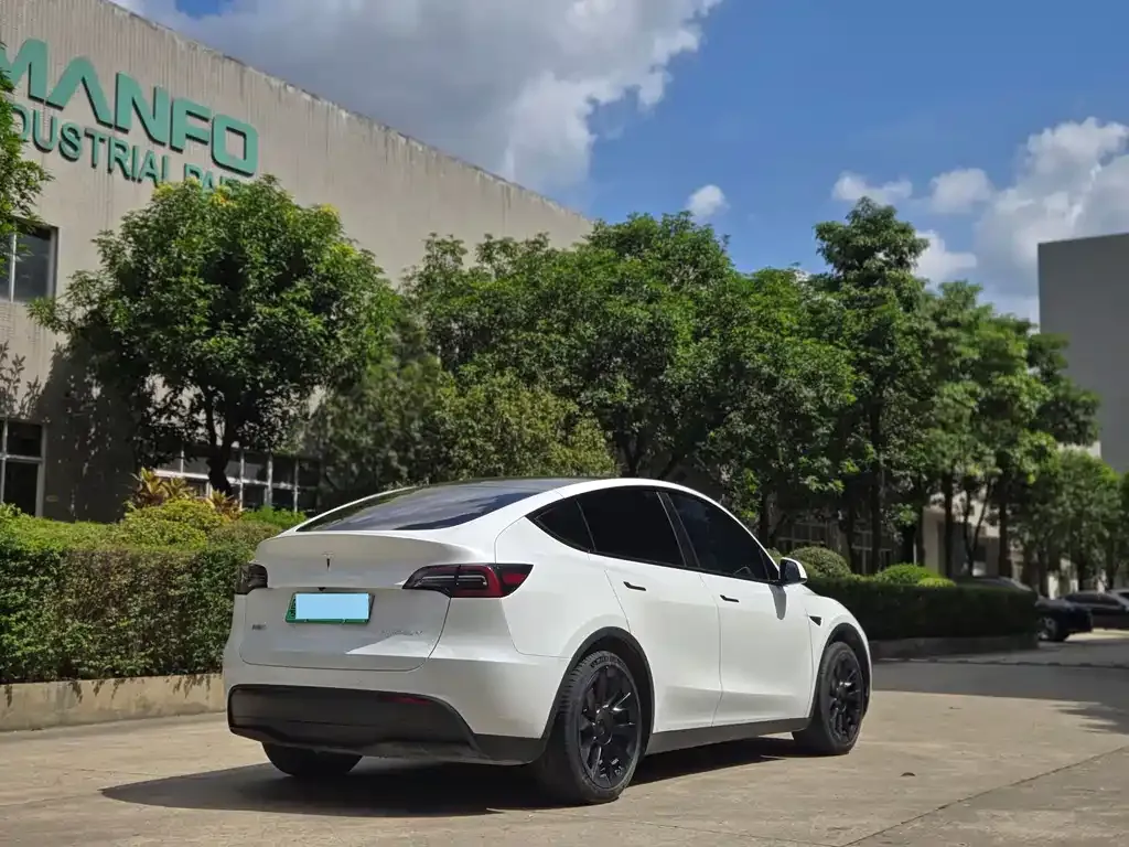 Tesla Model Y — фото 8