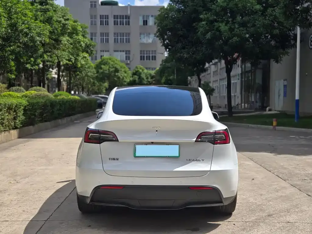 Tesla Model Y — фото 3