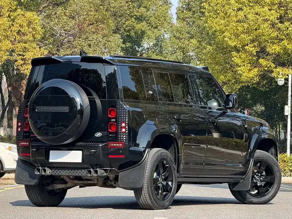 Land Rover Defender — фото 6