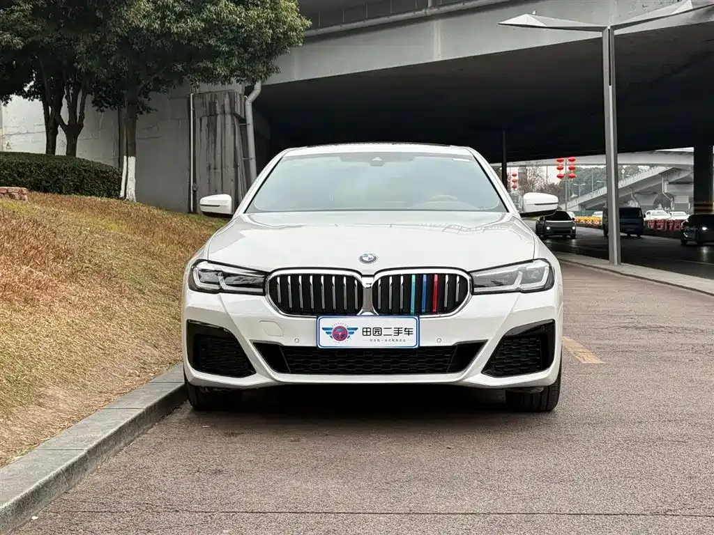 BMW 5 Series 2022 из CN, фото 9