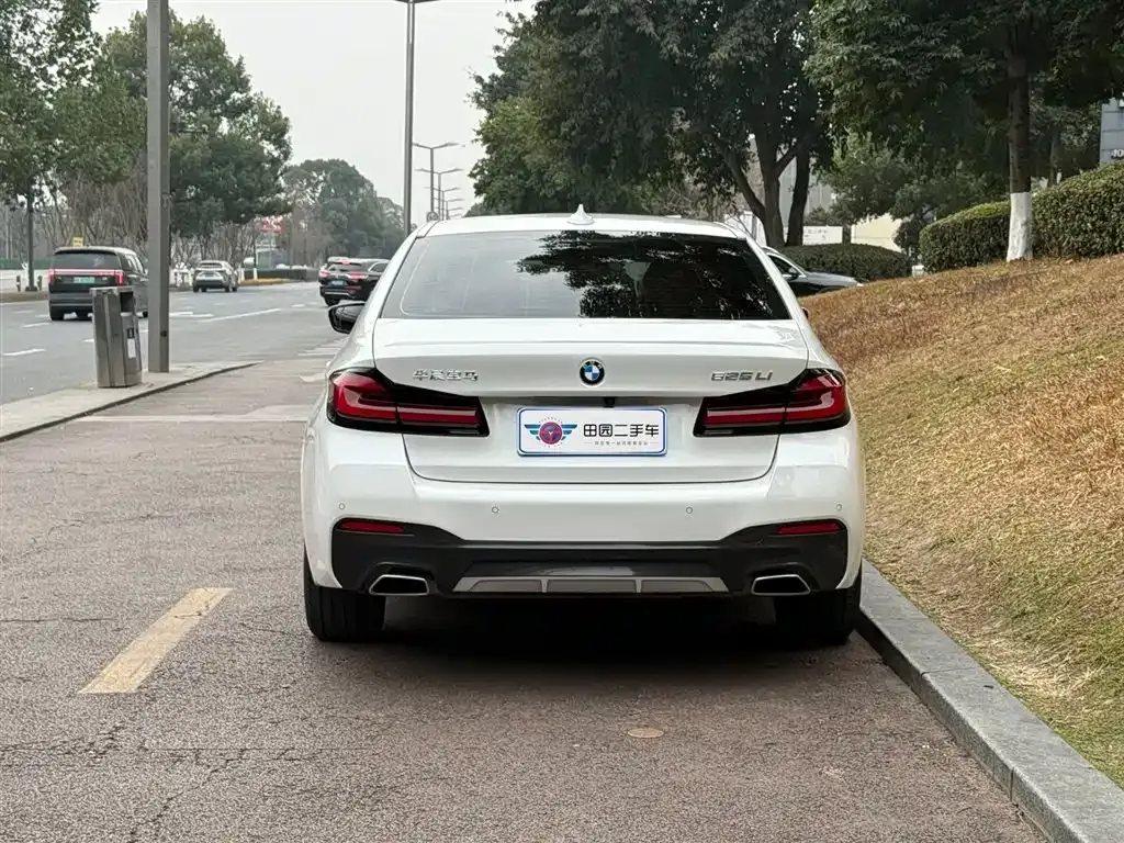 BMW 5 Series 2022 из CN, фото 5