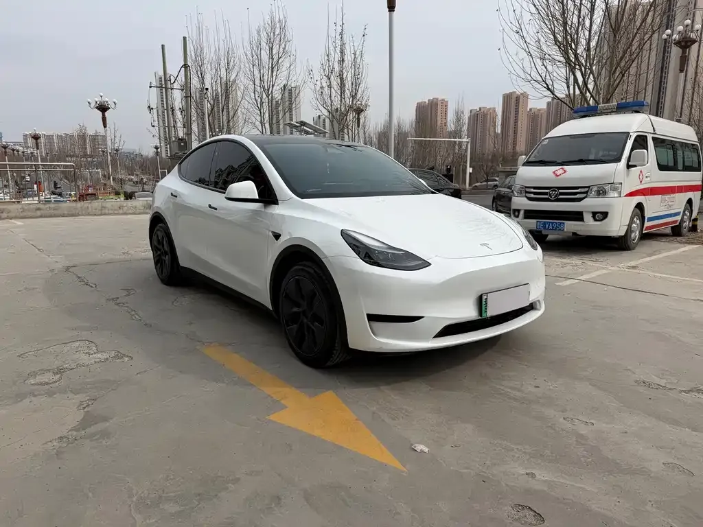 Tesla Model Y — фото 9
