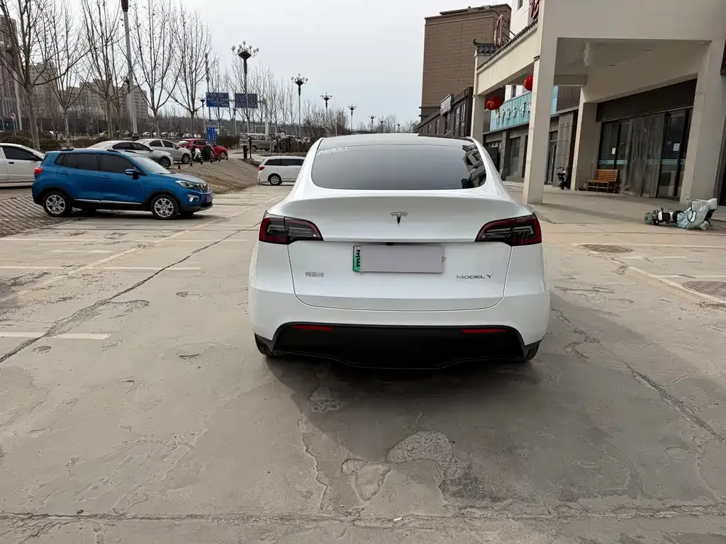 Tesla Model Y — фото 3