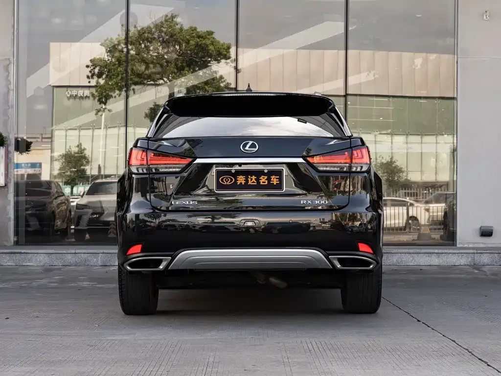 Lexus RX 2021 из CN, фото 8