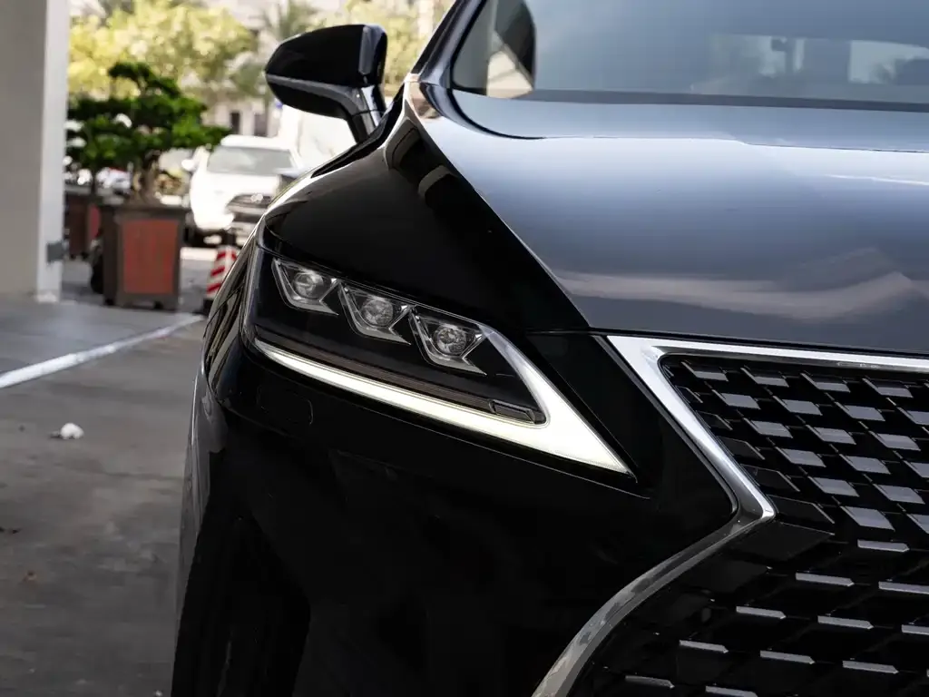 Lexus RX 2021 из CN, фото 2