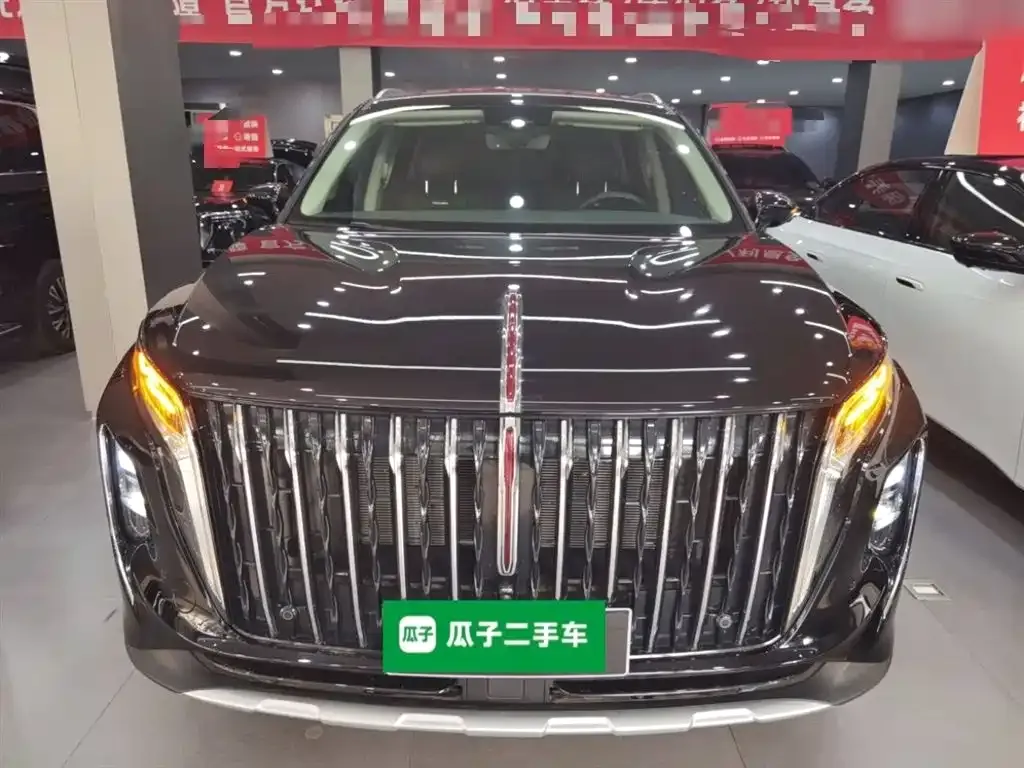 Hongqi HS7 PHEV 2024 из CN, фото 2