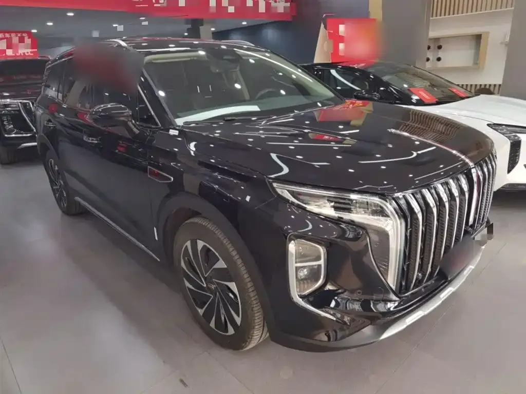 Hongqi HS7 PHEV 2024 из CN, фото 7