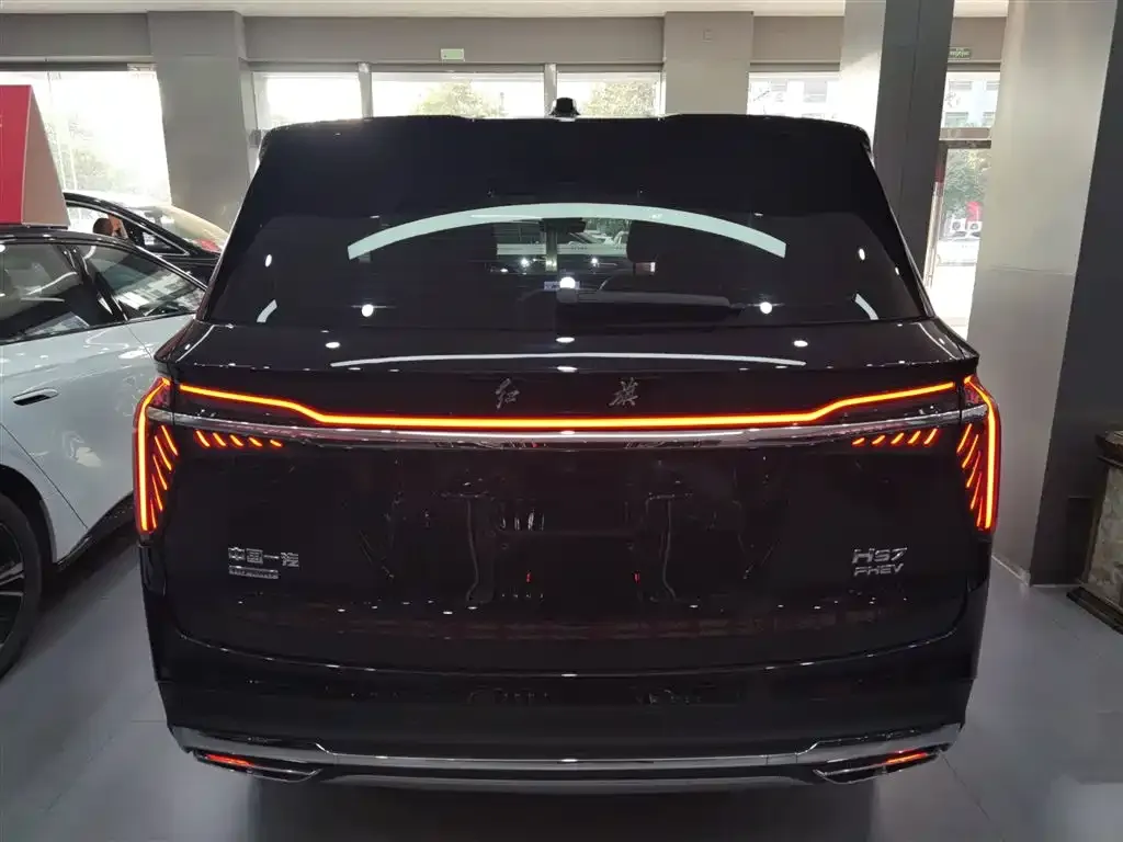 Hongqi HS7 PHEV 2024 из CN, фото 9