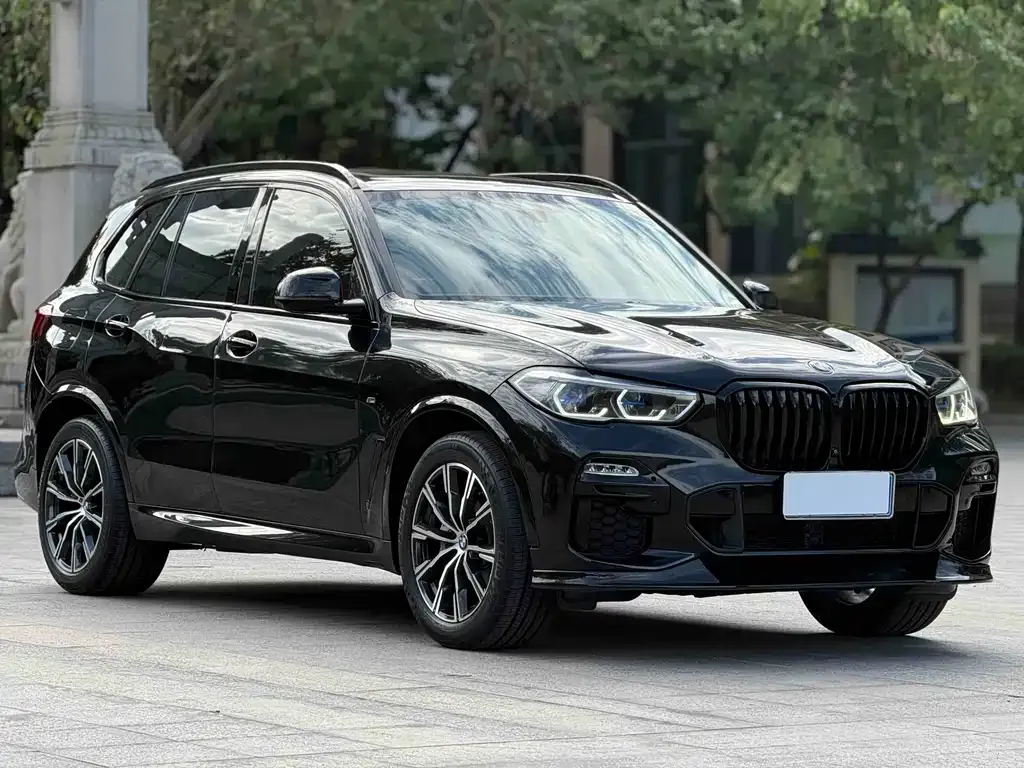 BMW X5 (Import) 2021 из CN, фото 4