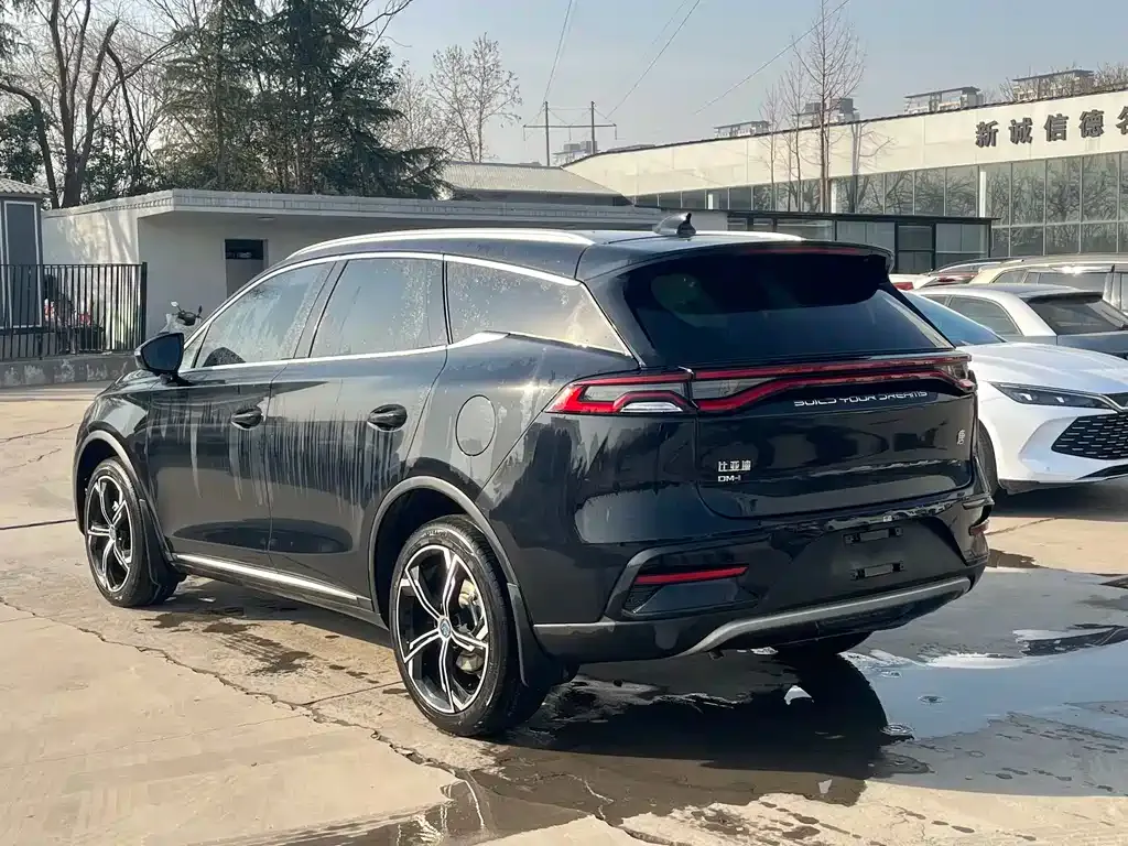 BYD Tang New Energy — фото 10
