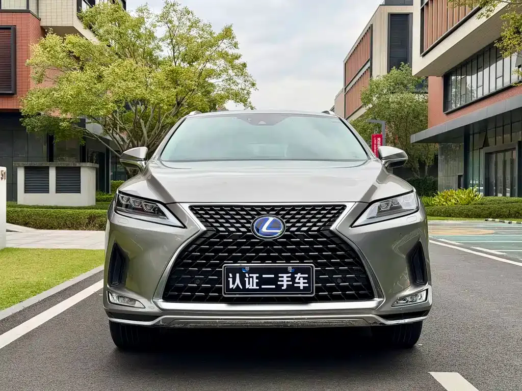 Lexus RX 2021 из CN, фото 7