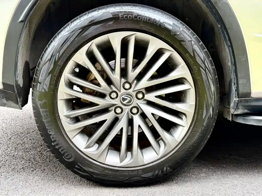 Lexus RX 2021 из CN, фото 10